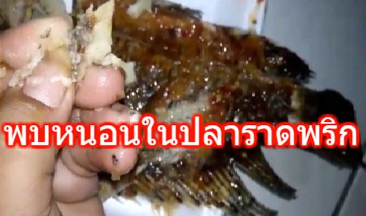 ผงะ! พบหนอนในปลาราดพริก ขนาดเท่าเมล็ดข้าวสาร