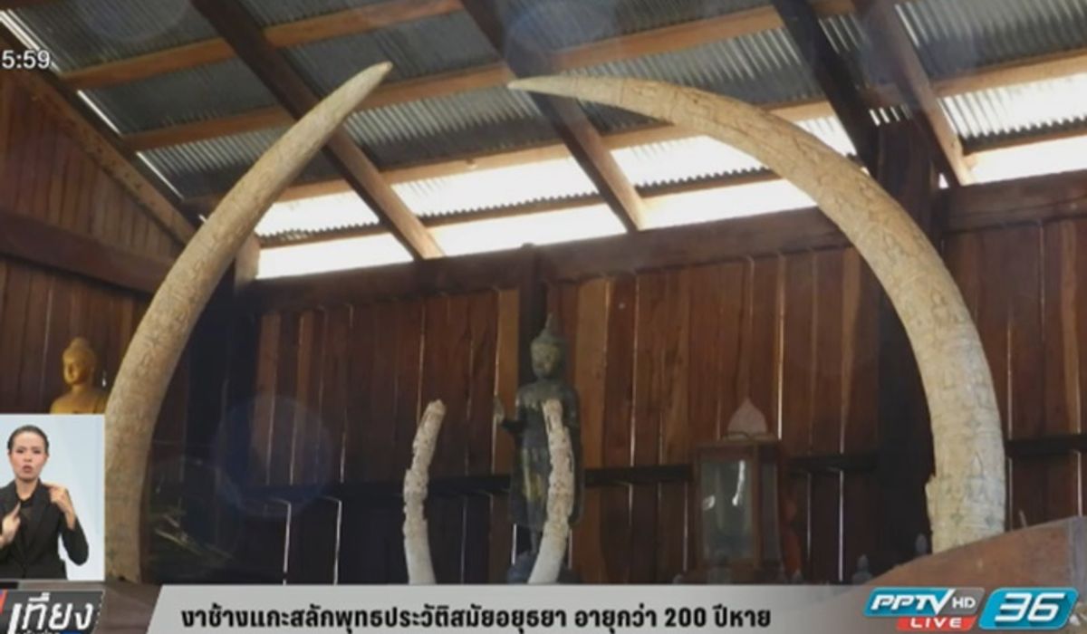 งาช้างแกะสลักพุทธประวัติสมัยอยุธยาอายุกว่า 200 ปีหาย