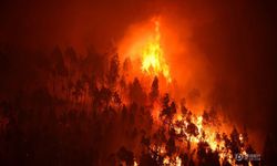 ไฟป่าในโปรตุเกส ยอดผู้เสียชีวิตพุ่ง 62 ราย