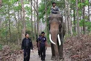 พลายบุญเลิศ ช้างต้นในหลวงถึงศูนย์อนุรักษ์ช้างไทยแล้ว