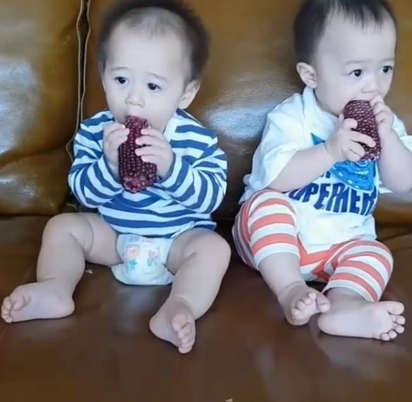 สายฟ้า พายุ แทะข้าวโพด 