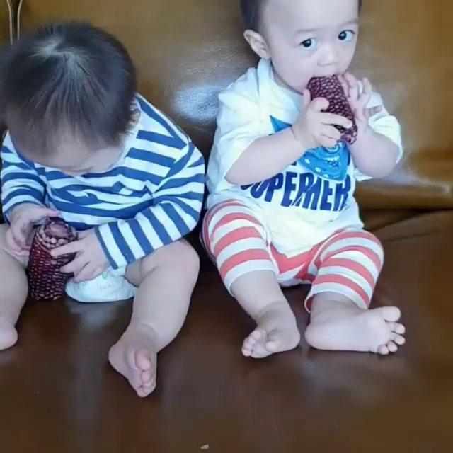 สายฟ้า พายุ แทะข้าวโพด 