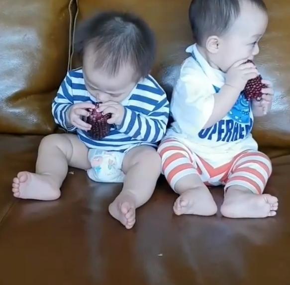 สายฟ้า พายุ แทะข้าวโพด 