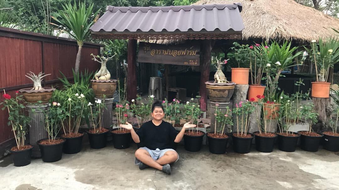 โก๊ะตี๋ อาราบอย