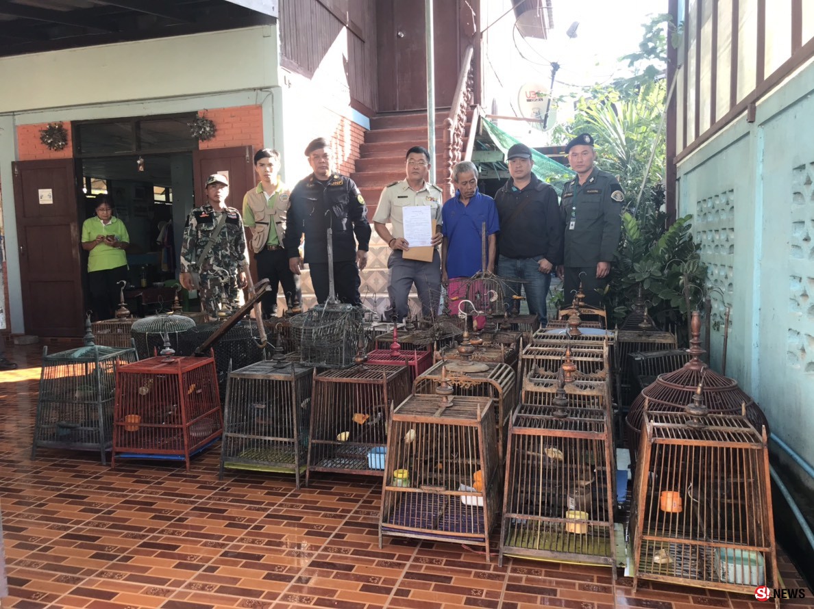 บุกจับหนุ่มใหญ่ลอบเพาะพันธุ์ “นกกรงหัวจุก” กว่า 50 ตัวเป็นสัตว์ป่าคุ้มครอง