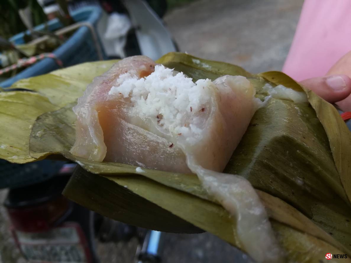 กรรณิการ์/พิษณุโลก/น่าทึ่งลุงแถบแห่งตำบลจอมทองพิษณุโลกยึดอาชีพปีนมะพร้าวมาจนอายุ 68 ปีแล้ว