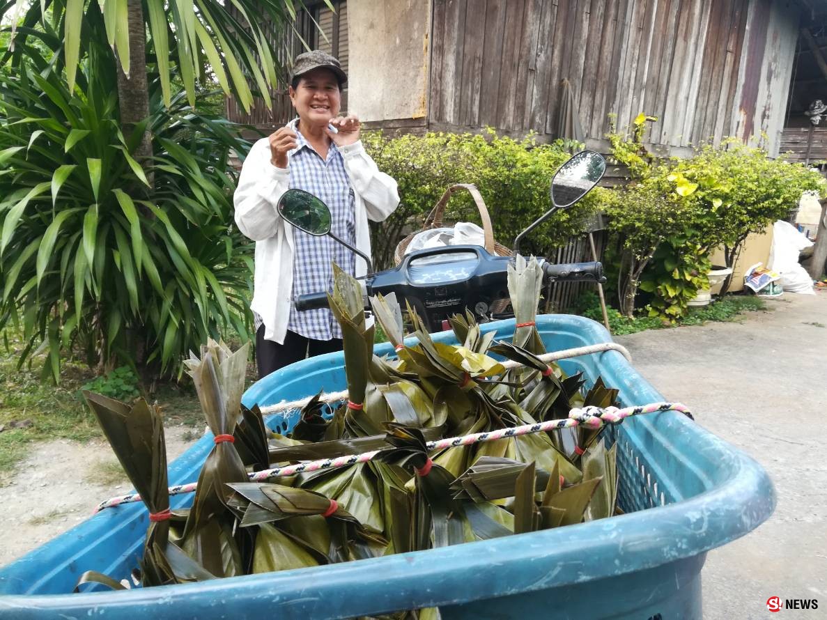 กรรณิการ์/พิษณุโลก/น่าทึ่งลุงแถบแห่งตำบลจอมทองพิษณุโลกยึดอาชีพปีนมะพร้าวมาจนอายุ 68 ปีแล้ว