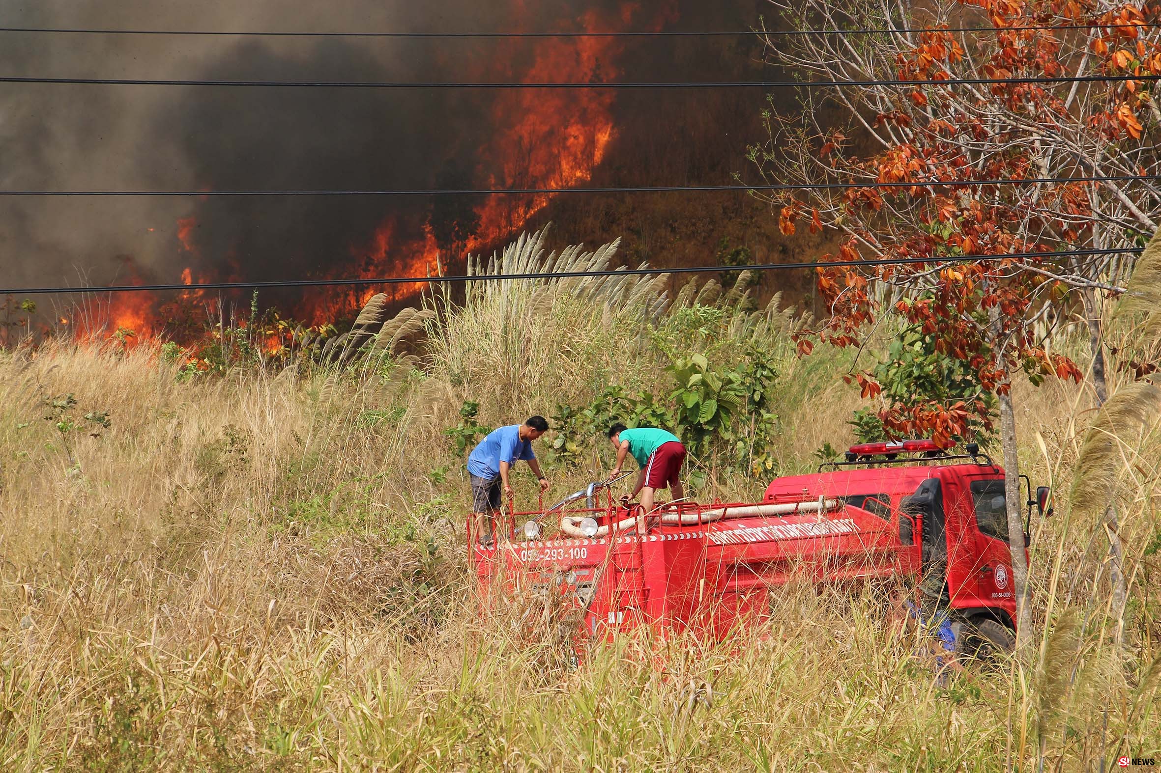 กรรณิการ์/พิษณุโลก/ไฟไหม้ป่าริมถนนพิษณุโลกหล่มสักเป็นวงกว้าง
