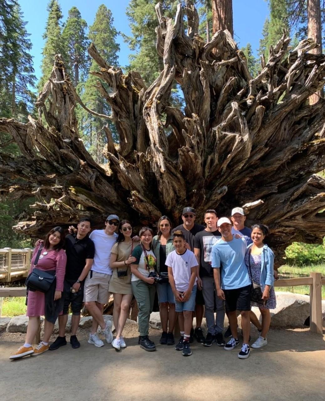 หมาก - คิมเบอร์ลี่