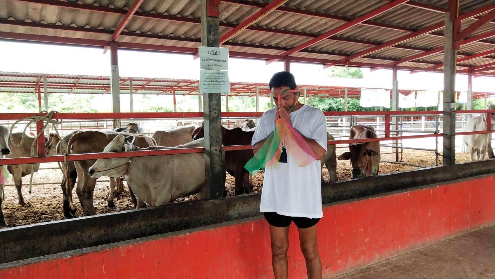 เมฆ วินัย