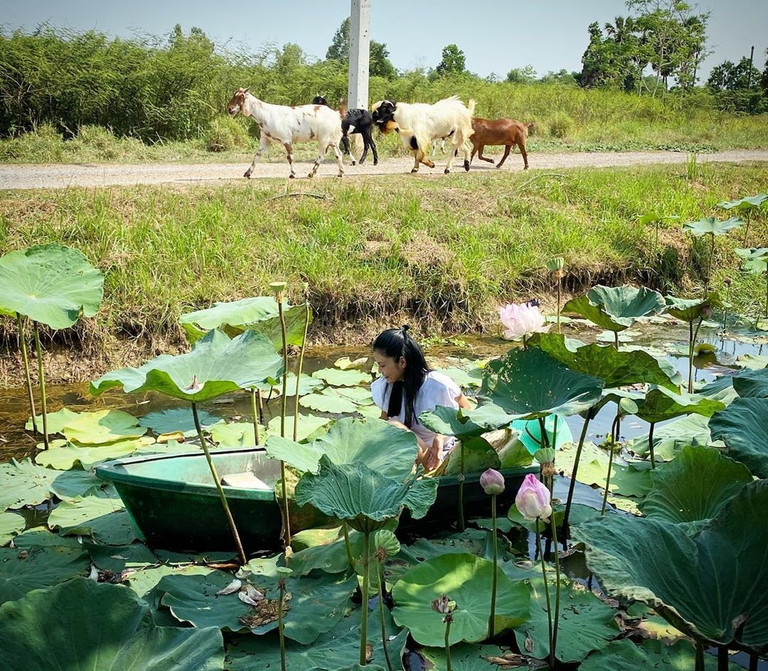 ปิ่น เก็จมณี