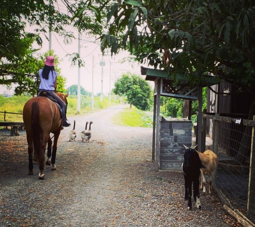 ปิ่น เก็จมณี