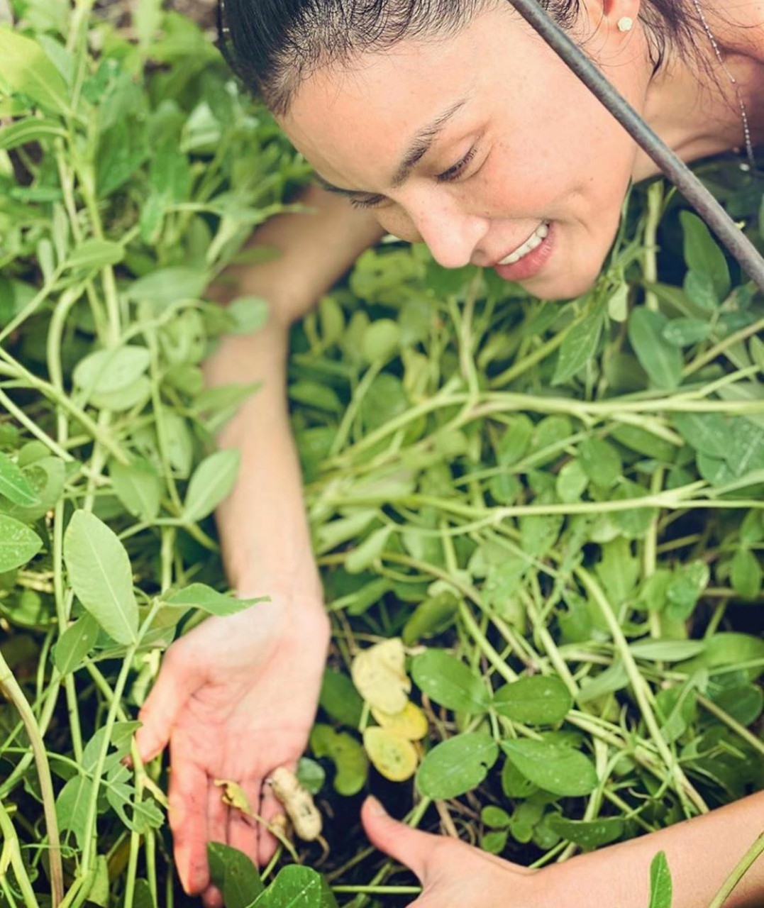 ปิ่น เก็จมณี