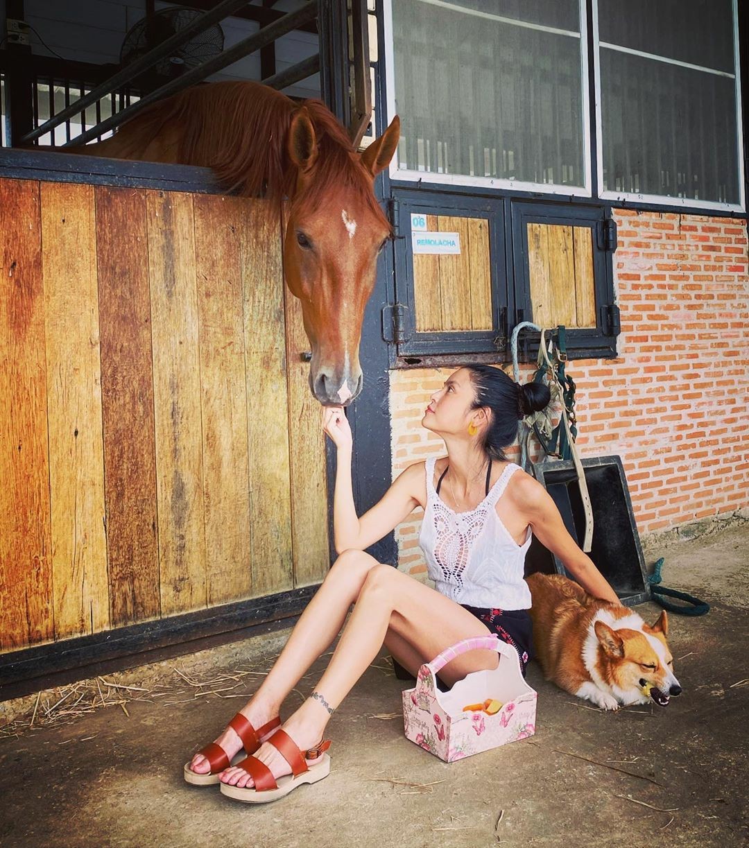 ปิ่น เก็จมณี