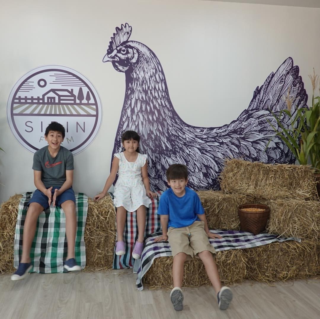 ลูกแหม่ม คัทลียา