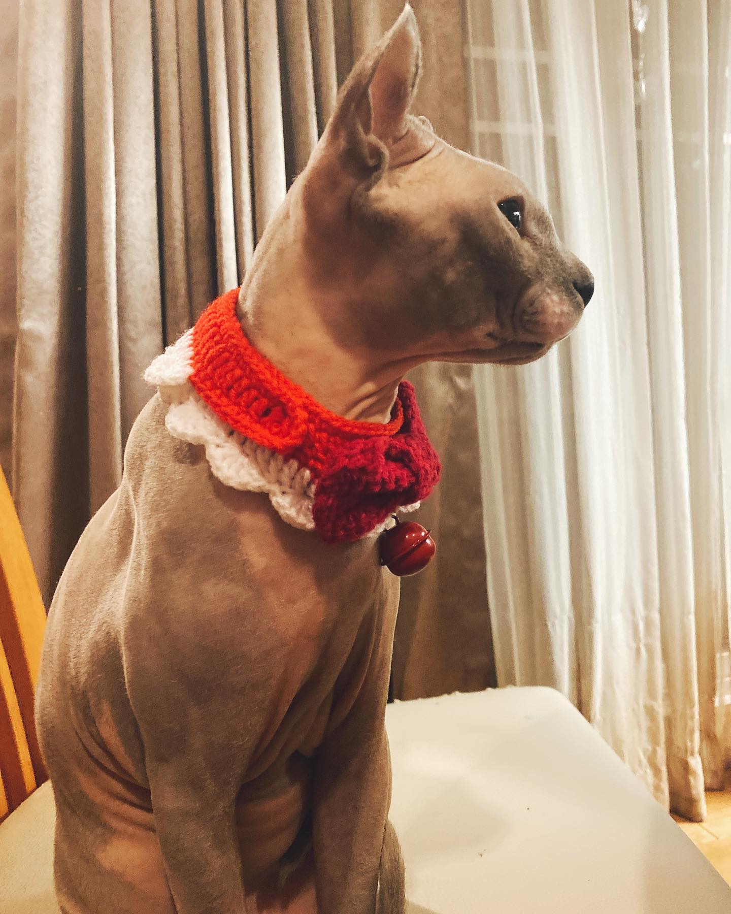 แตงโม นิดา