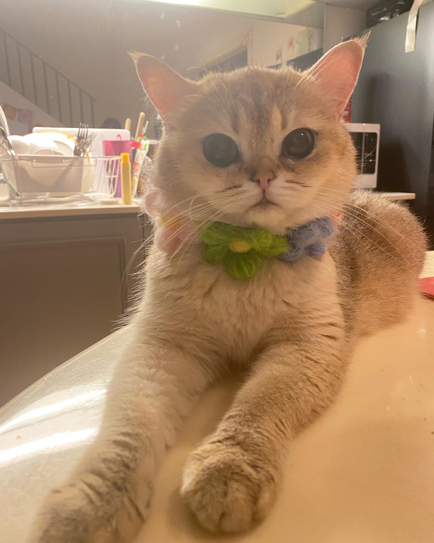 แตงโม นิดา