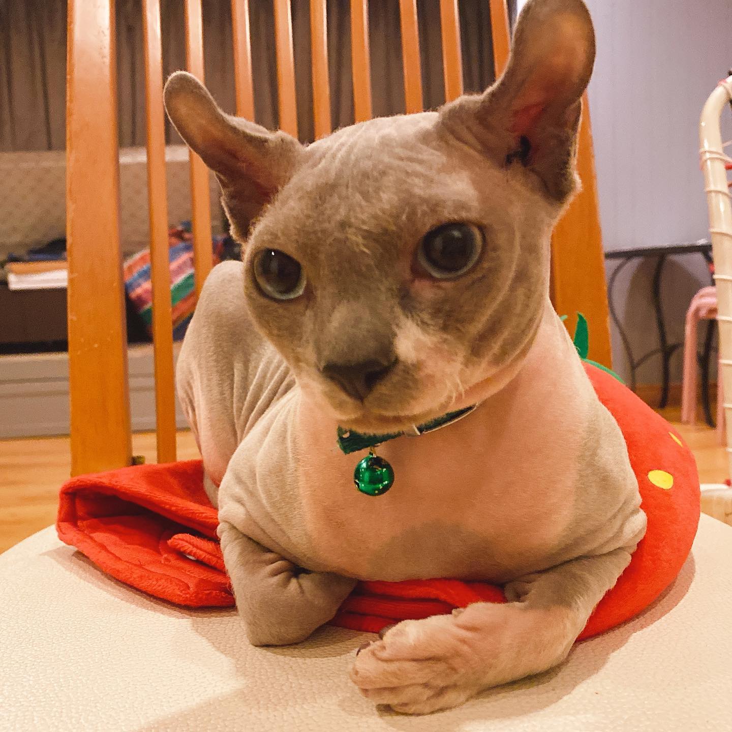 แตงโม นิดา