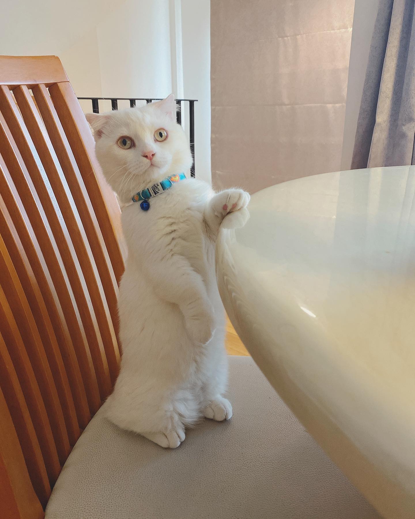 แตงโม นิดา