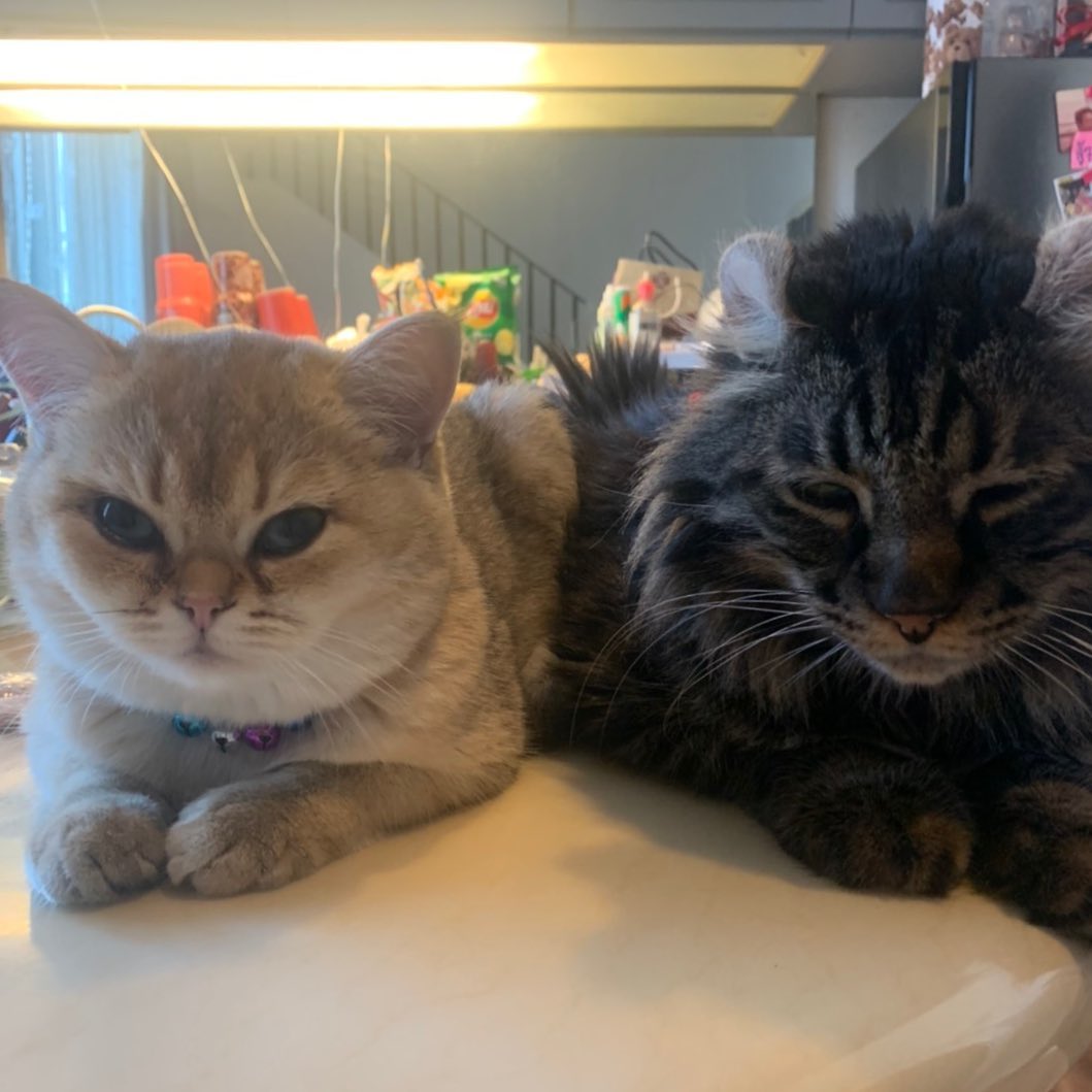 แตงโม นิดา