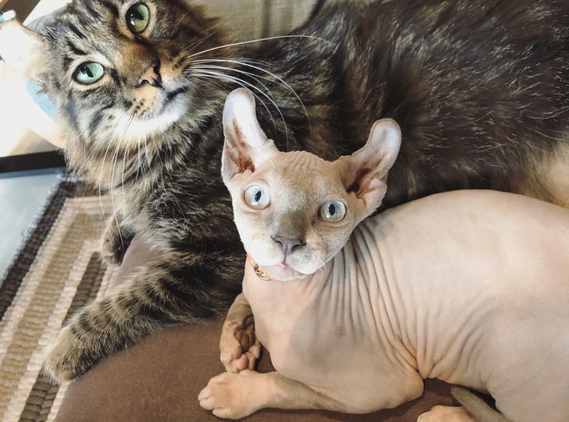 แตงโม นิดา