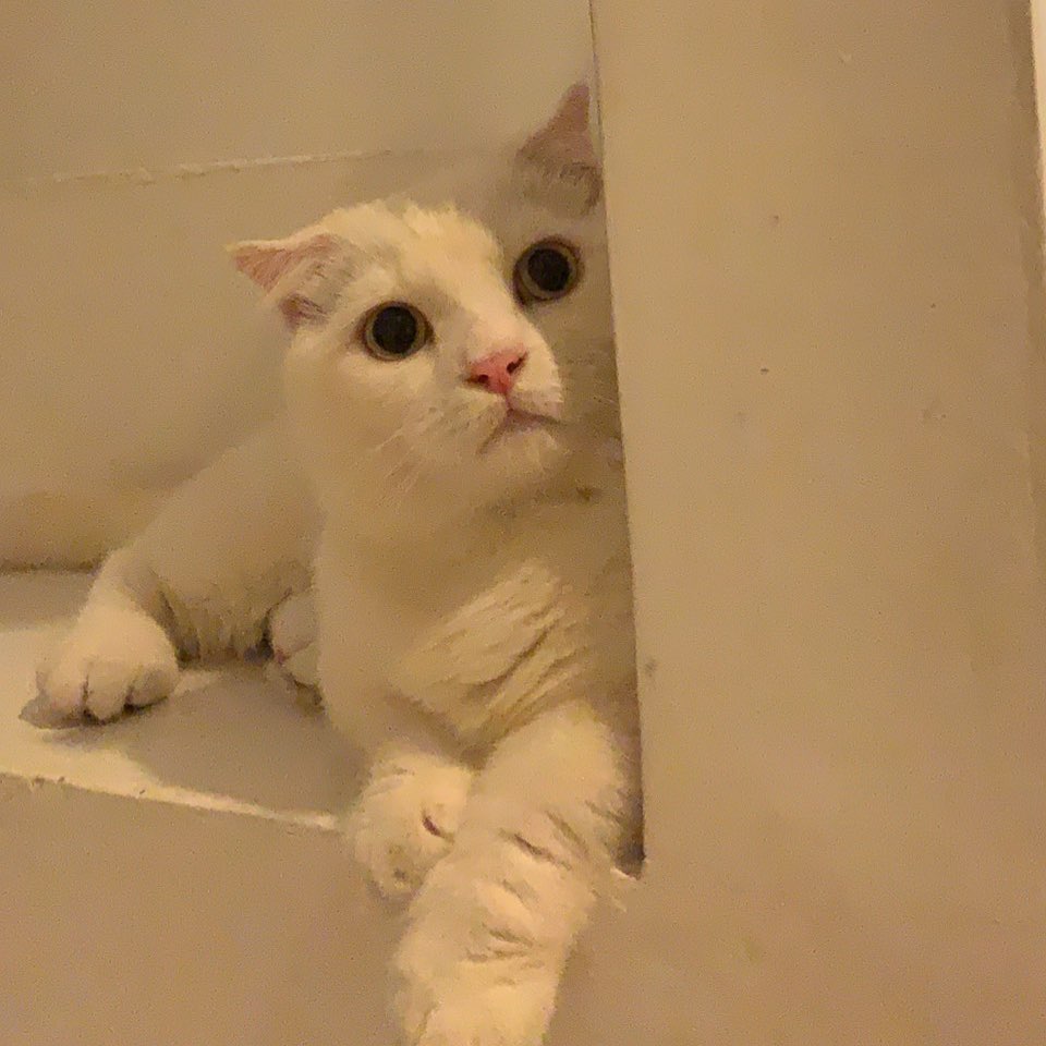 แตงโม นิดา