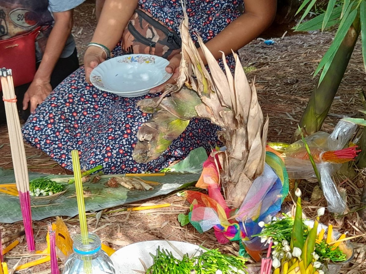 อุดรธานี270865 ฮือฮาหน่อไม้พญานาค คอหวยจุดธูปมงคลเห็นแล้วขนลุกเลขเดียวหัวกลับเลขที่บ้านตรงเลขที่บ้าน 339