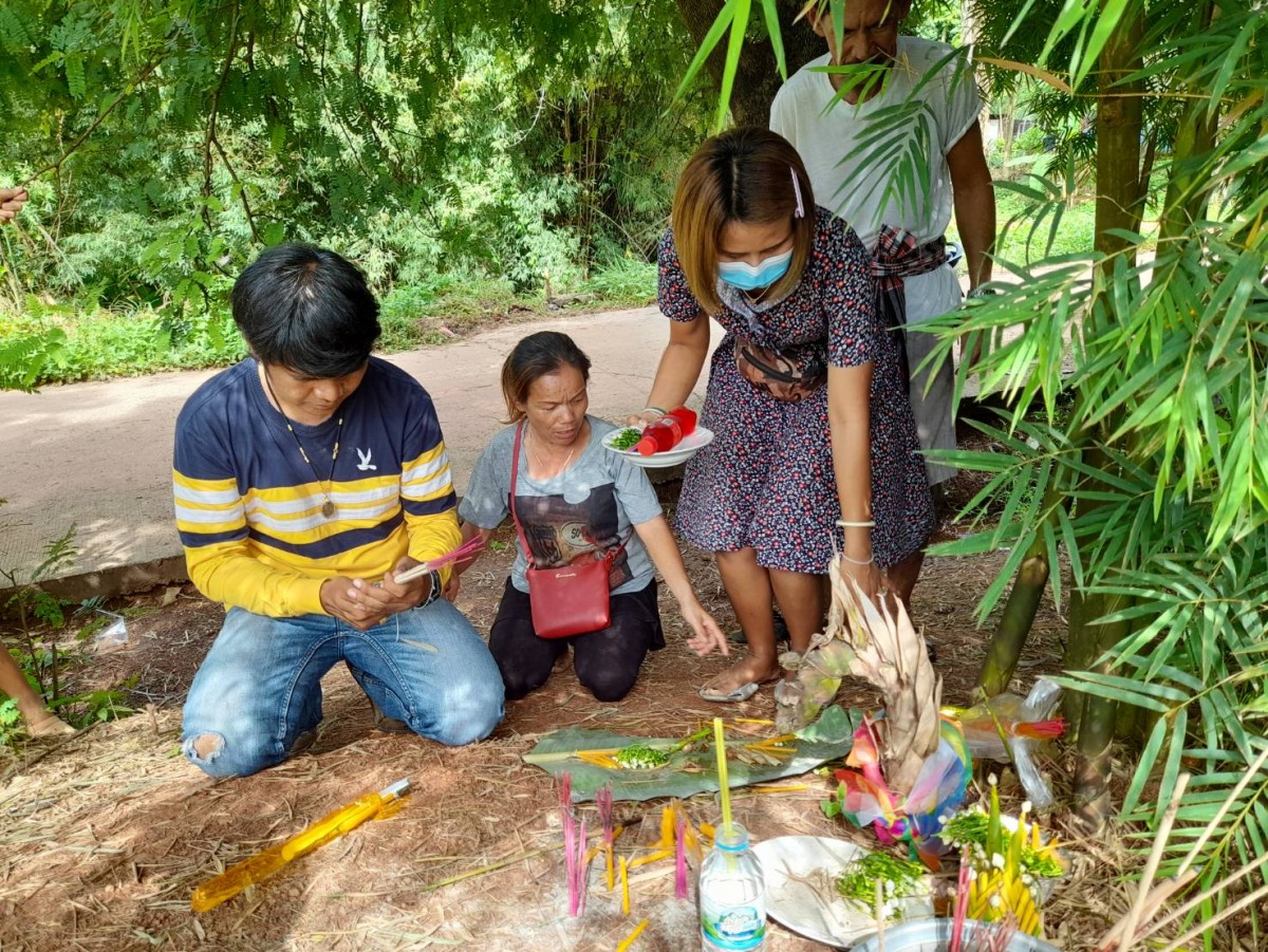 อุดรธานี270865 ฮือฮาหน่อไม้พญานาค คอหวยจุดธูปมงคลเห็นแล้วขนลุกเลขเดียวหัวกลับเลขที่บ้านตรงเลขที่บ้าน 339