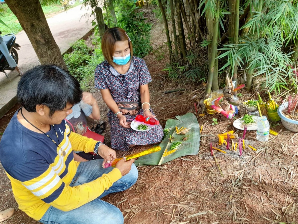 อุดรธานี270865 ฮือฮาหน่อไม้พญานาค คอหวยจุดธูปมงคลเห็นแล้วขนลุกเลขเดียวหัวกลับเลขที่บ้านตรงเลขที่บ้าน 339