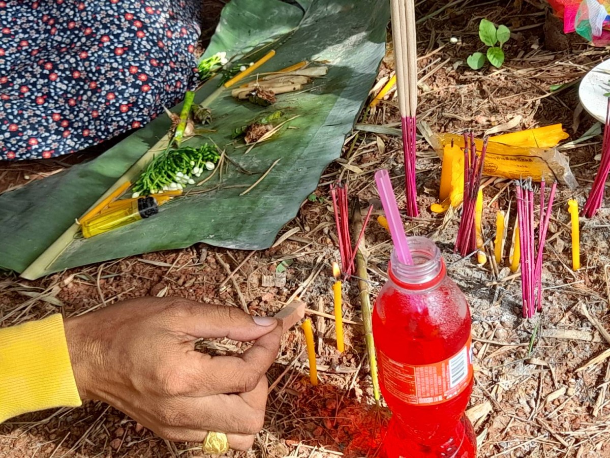 อุดรธานี270865 ฮือฮาหน่อไม้พญานาค คอหวยจุดธูปมงคลเห็นแล้วขนลุกเลขเดียวหัวกลับเลขที่บ้านตรงเลขที่บ้าน 339