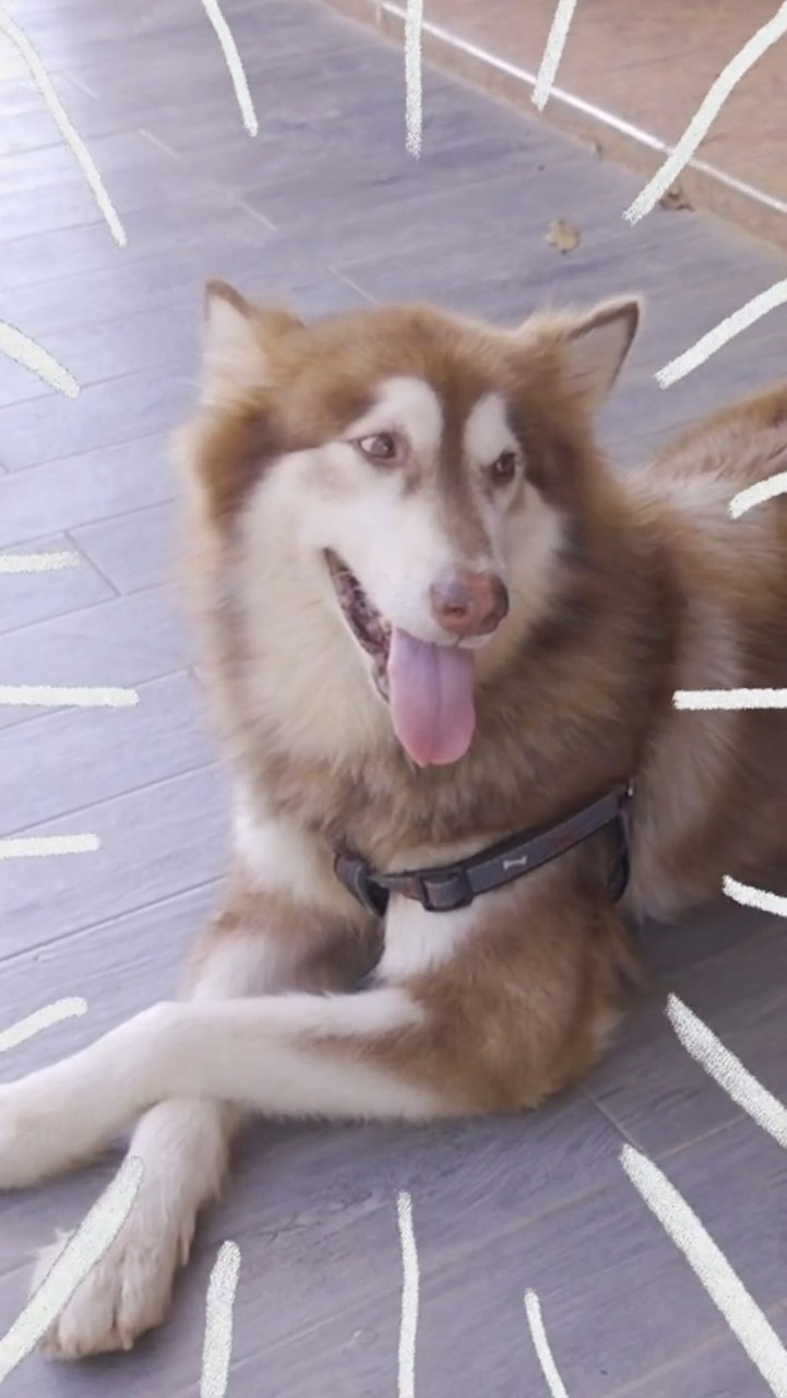 ชาคริต แย้ม