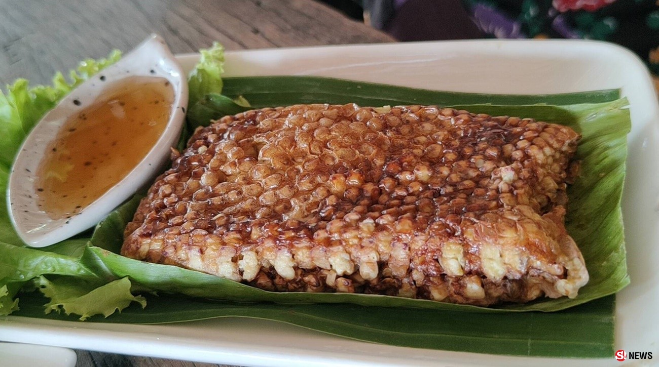 กรรณิการ์/พิษณุโลก/ชิมต้มยำอึ่งไข่ใบมะขามอ่อนฝนแรกของฤดูกาลหาทานยาก1ปีมีครั้งเดียว