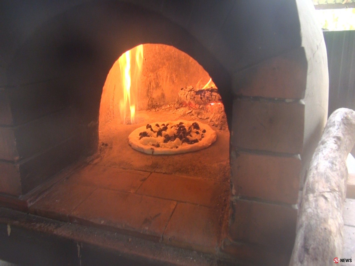 ฮือฮาพิชซ่าหน้าเห็ดถอบ หน้าแมงมันขายดีออเดอร์รัวๆ