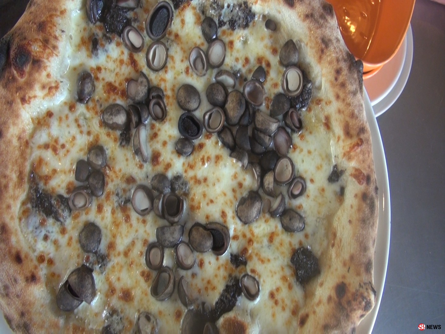 ฮือฮาพิชซ่าหน้าเห็ดถอบ หน้าแมงมันขายดีออเดอร์รัวๆ