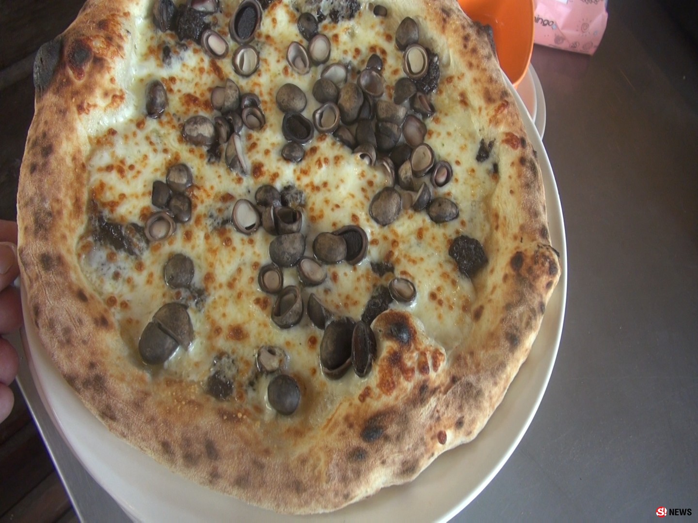 ฮือฮาพิชซ่าหน้าเห็ดถอบ หน้าแมงมันขายดีออเดอร์รัวๆ