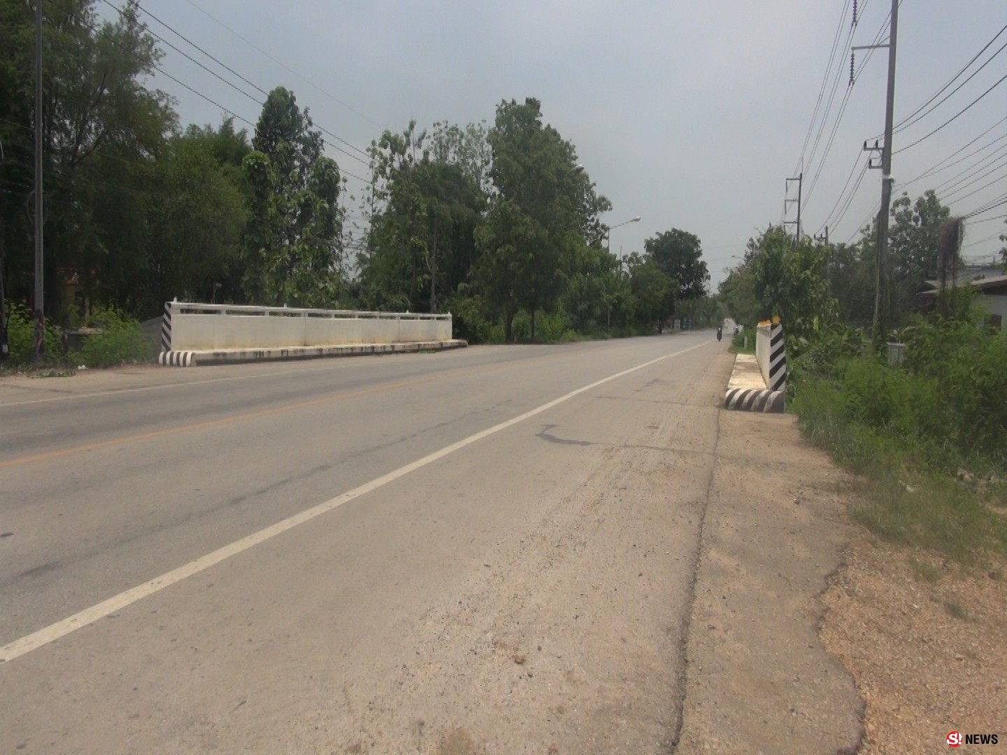 ฮือฮาพิชซ่าหน้าเห็ดถอบ หน้าแมงมันขายดีออเดอร์รัวๆ