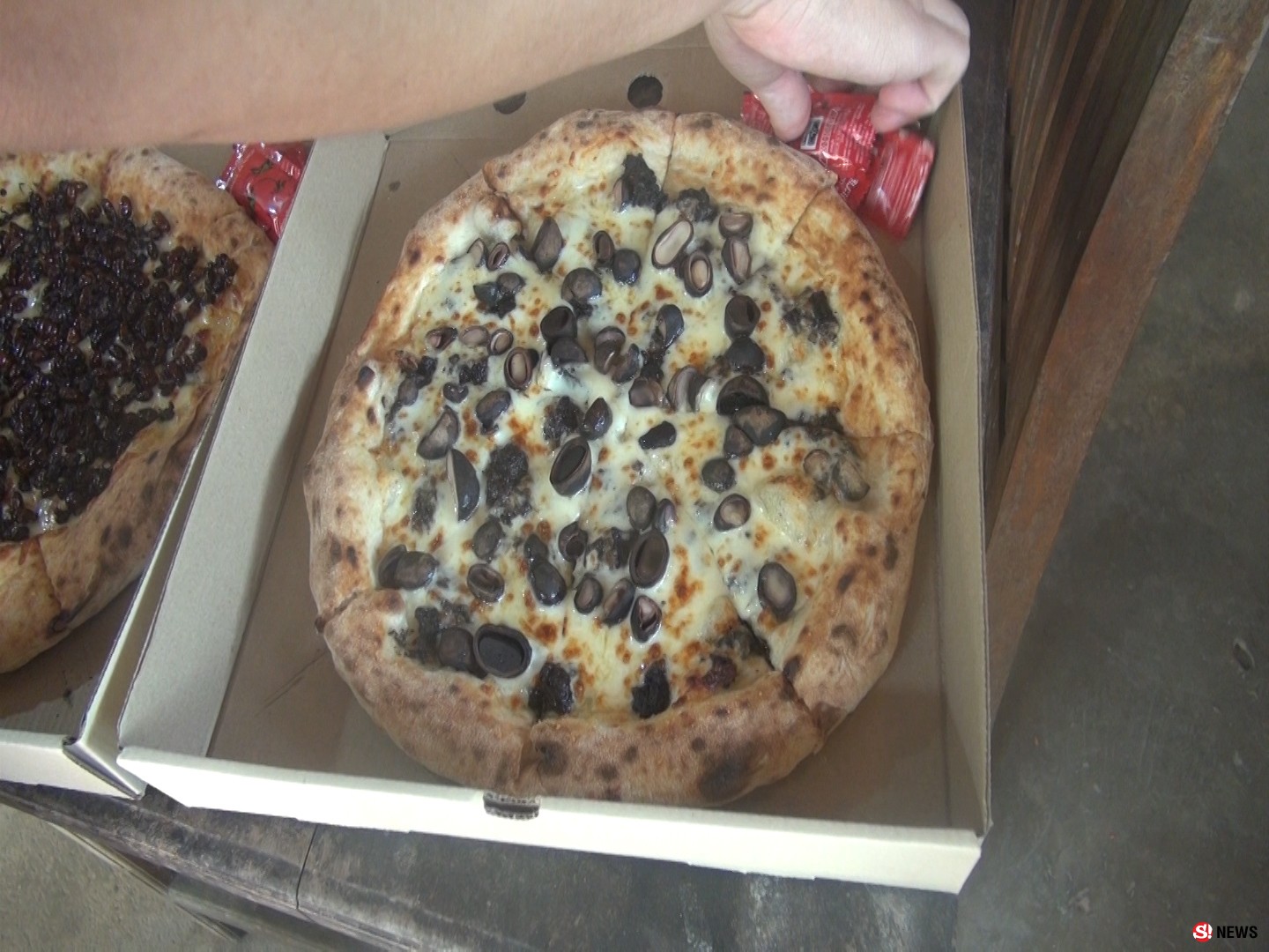 ฮือฮาพิชซ่าหน้าเห็ดถอบ หน้าแมงมันขายดีออเดอร์รัวๆ