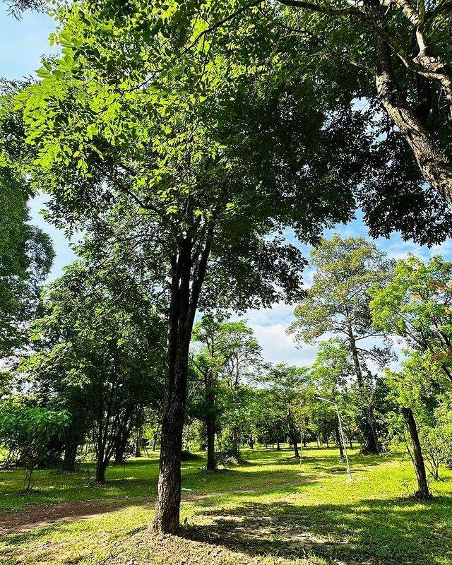 เวียร์ ศุกลวัฒน์