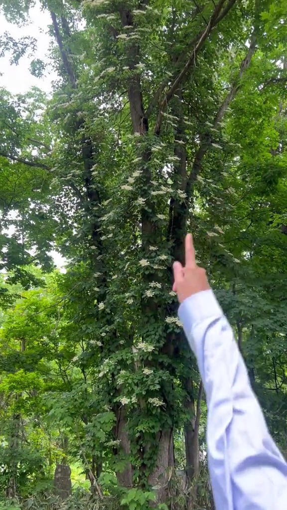 บ้านหน่อยเคน