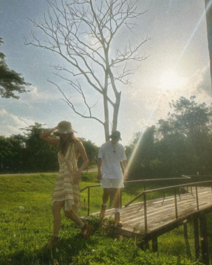 ใบเฟิร์น พิมพ์ชนก