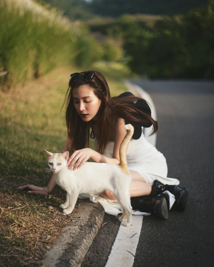 ใบเฟิร์น พิมพ์ชนก