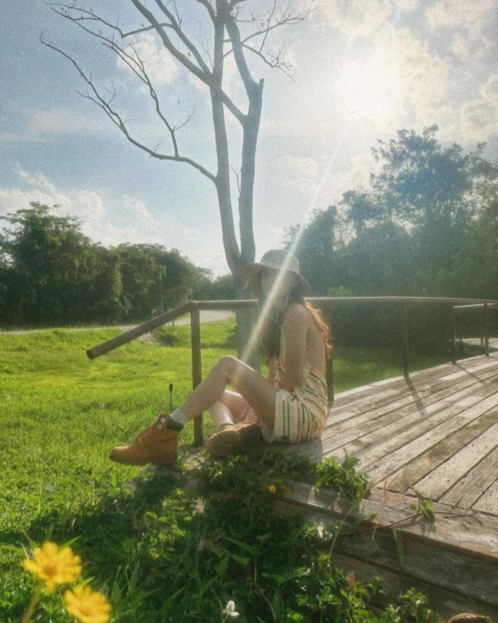 ใบเฟิร์น พิมพ์ชนก