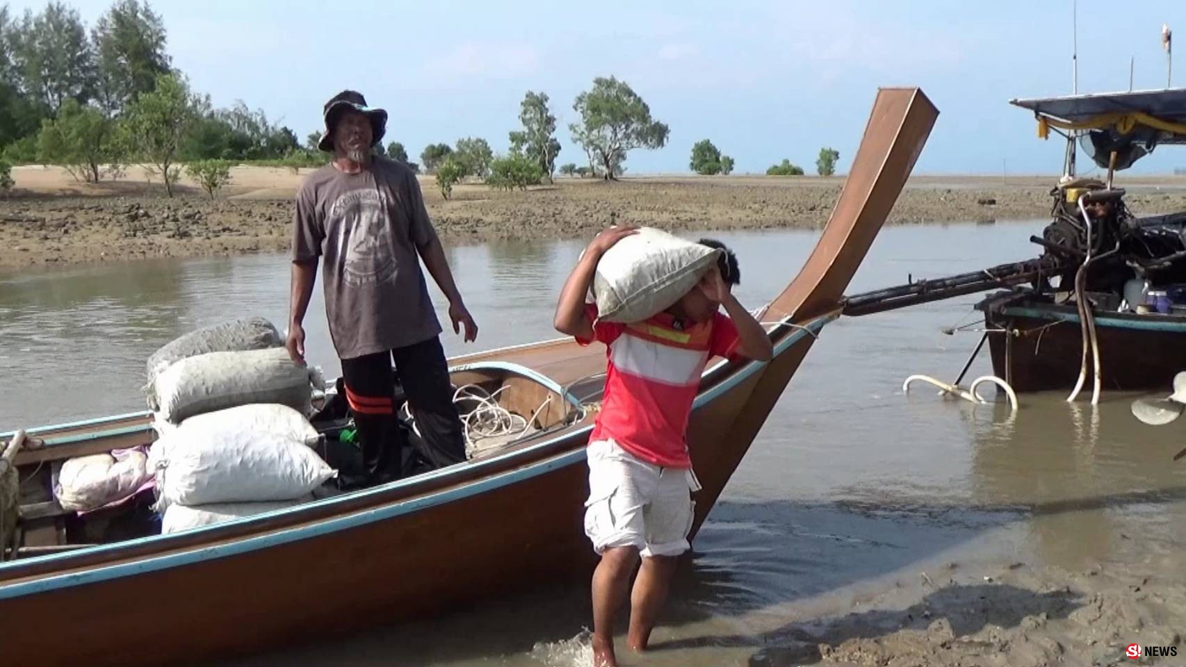 สตูลเก็บหอยกะพงในทะเลหน้าบ้านแกะเนื้อส่งขายรายได้เดือนละ60000บาท