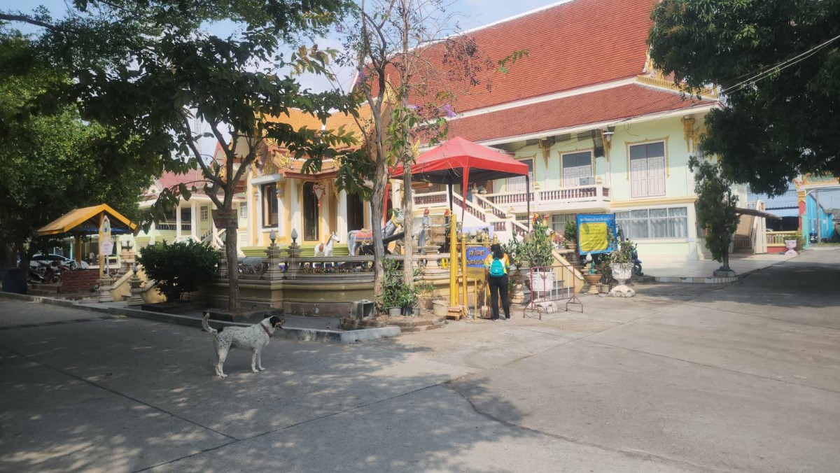 ระยอง ตะลึงปู่ตากเข้าฝันให้มากวาดพลับพลา @ธานนท์ ตรีพลอักษร