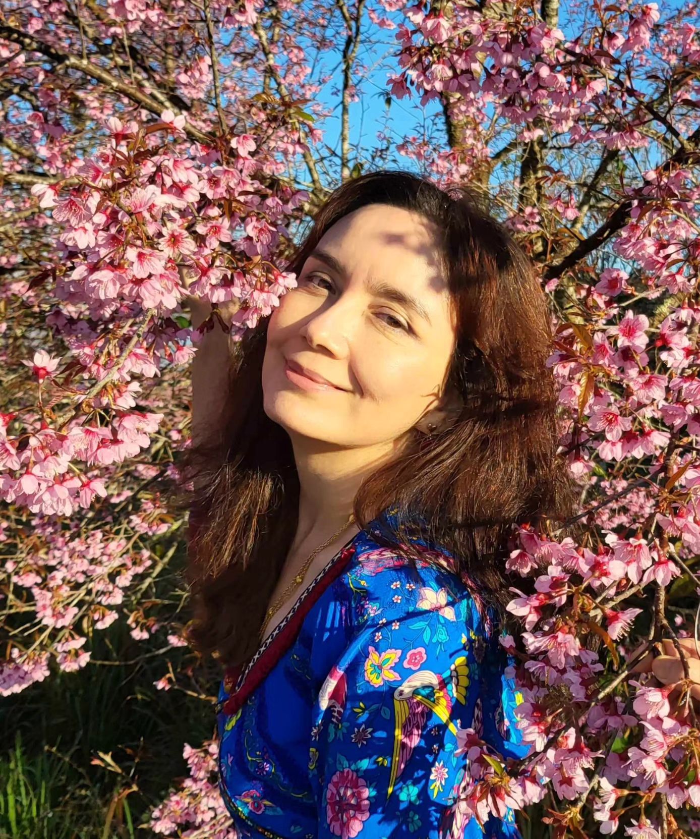 บี วรรณิศา