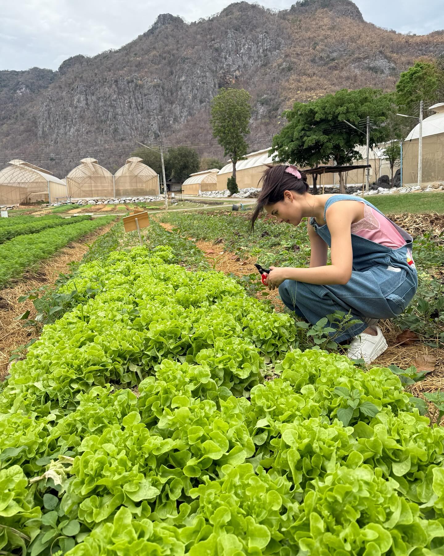 ญาญ่า อุรัสยา