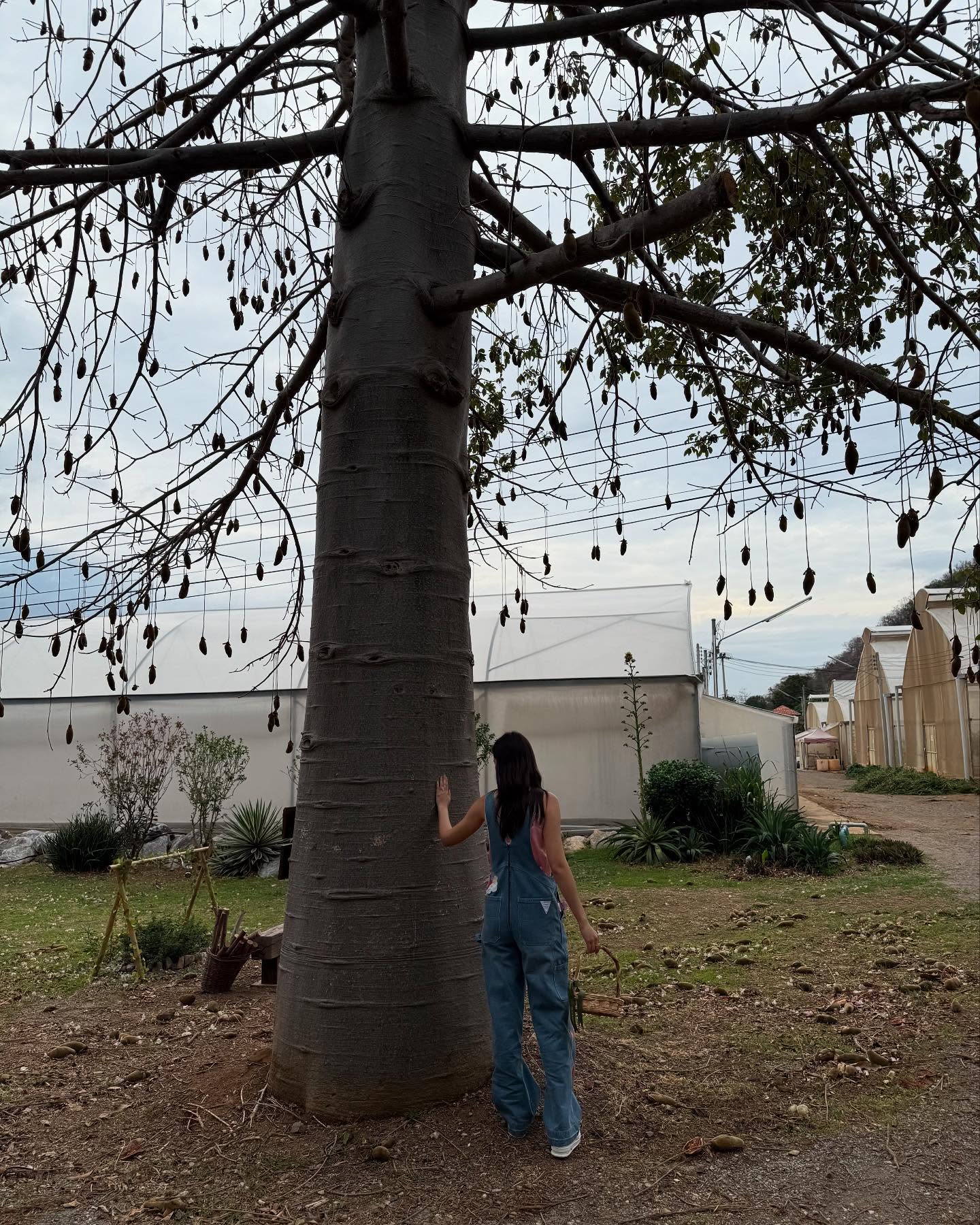 ญาญ่า อุรัสยา