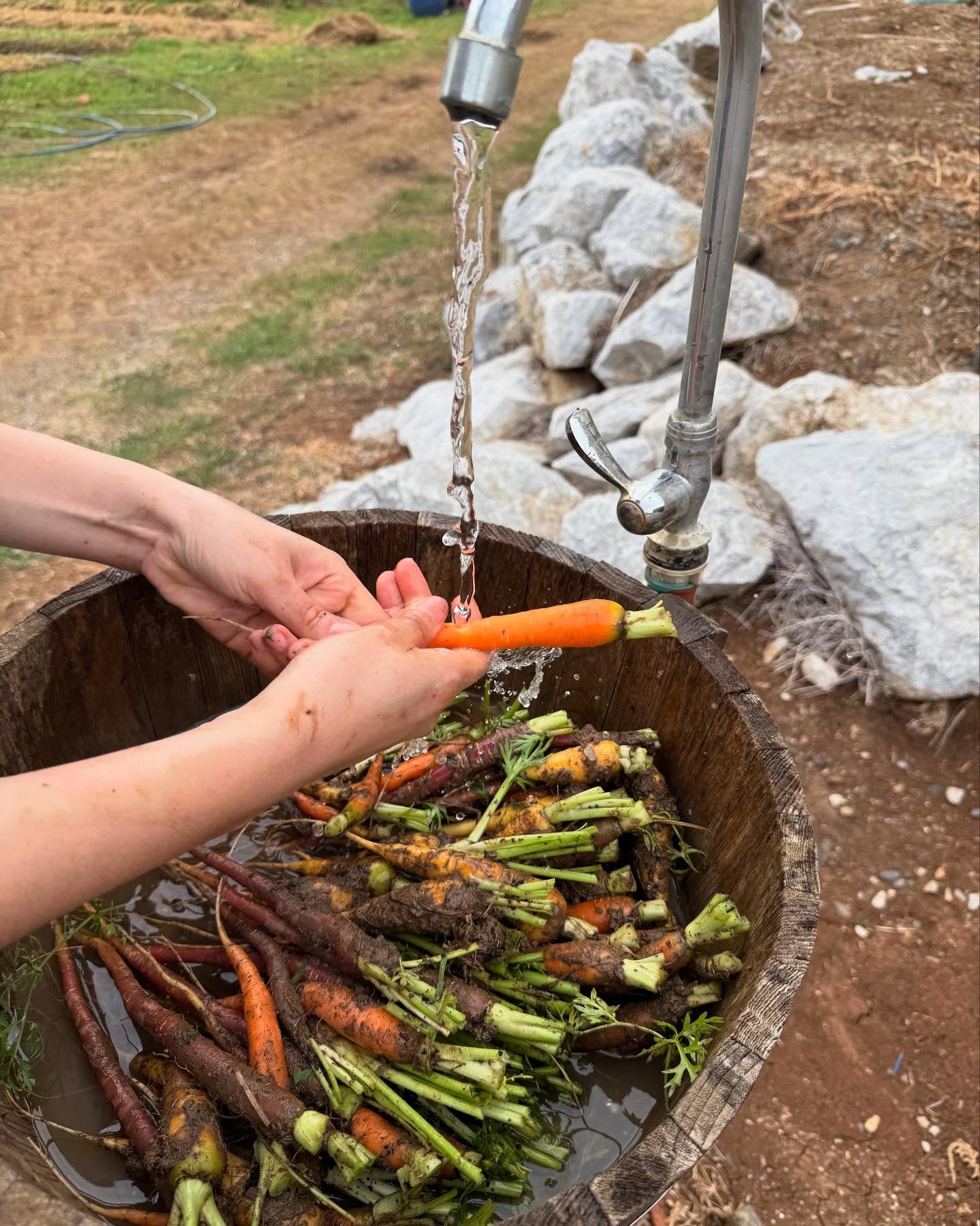 ญาญ่า อุรัสยา