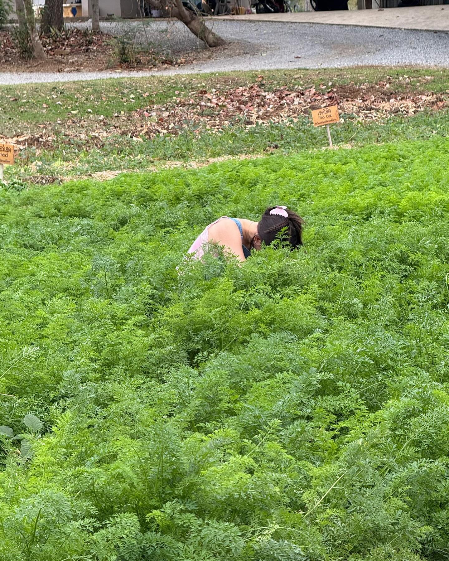 ญาญ่า อุรัสยา