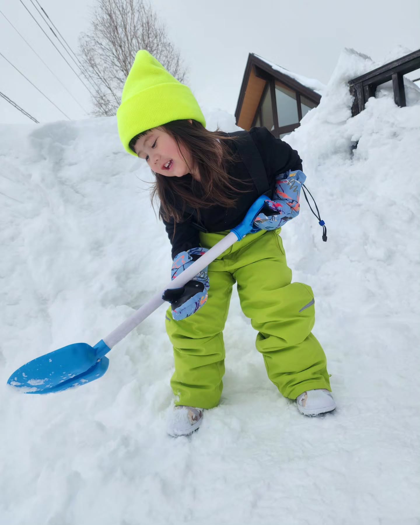 ชมพู่ อารยา